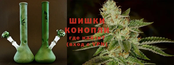 винт Липки