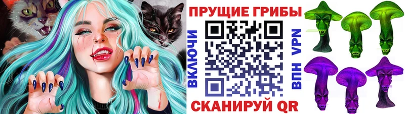 Купить закладки  Карталы  Псилоцибиновые грибы прущие грибы 
